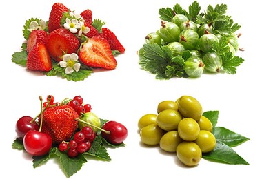 Berries