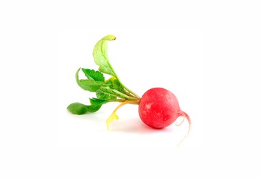 Radish